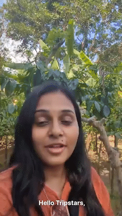 Mrs. Arjal Patel Mrs. Arjal Patel